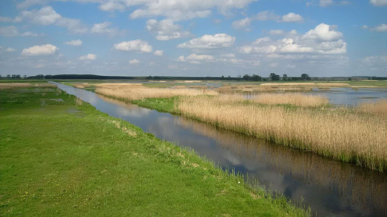 Der Gülper See liegt im Naturpark Westhavelland in Brandenburg. Der Gülper See liegt im Naturpark Westhavelland in Brandenburg.