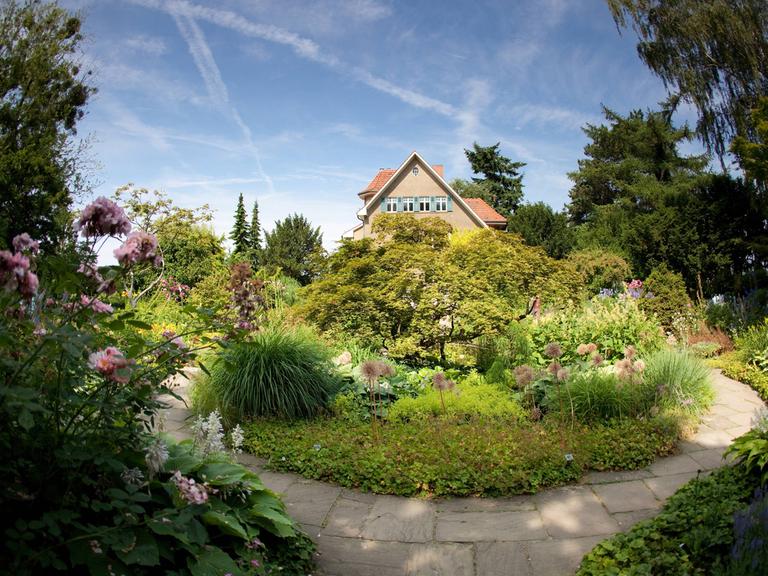 Öffentlich zugänglicher Garten von Karl Förster (1874 - 1970) in Potsdam-Bornim. Dort lebte und arbeitete der berühmte Staudenzüchter und Gartenphilosoph.