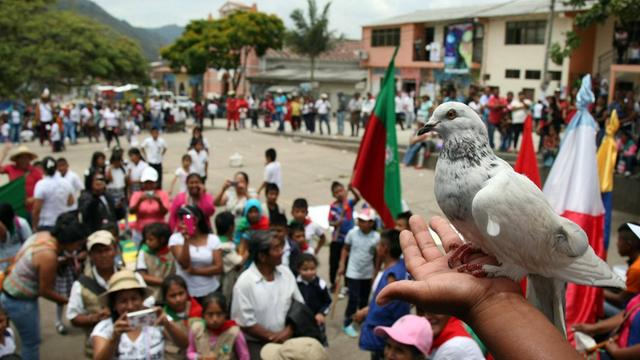 Demonstration für Frieden mit der FARC in Toribio, Kolumbien, 2016. Im Vordergrund eine weiße Taube.
