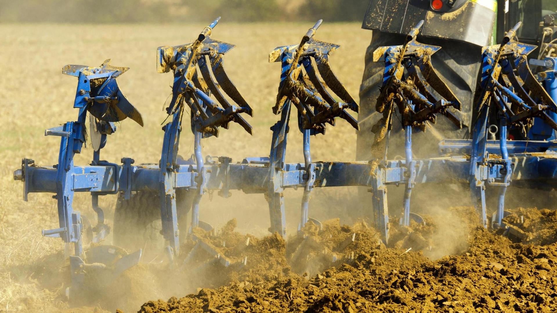 Pflug pflügt Feld Pflug pflügt Feld