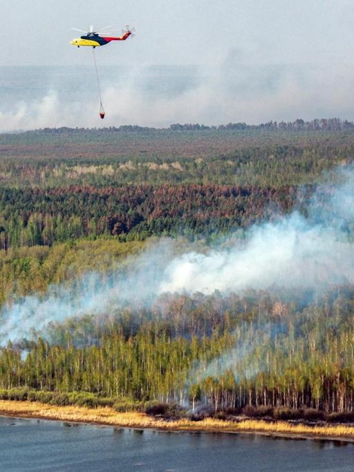 Ein Waldbrand in der Tyumen-Region in Russland