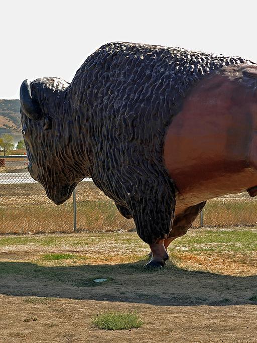 Die Büffeljagd war in den USA weit verbreitet: Plastik im Badlands Nationalpark, South Dakota