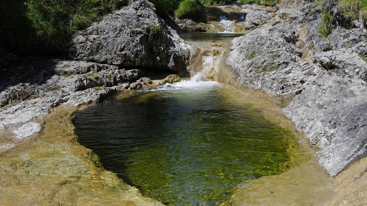 Wasserloch, Gumpen, Gebirgsbach, Naturschutzgebiet Schronbachtal, im Isarwinkel, bei Lenggries, Oberbayern, Bayern, Deutschland Wasserloch, Gumpen, Gebirgsbach, Naturschutzgebiet Schronbachtal, im Isarwinkel, bei Lenggries, Oberbayern, Bayern, Deutschland