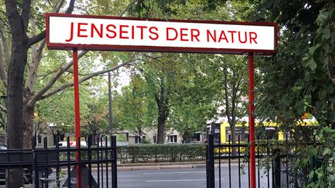 Eingangsportal zum Gelände der Organismendemokratie Berlin.