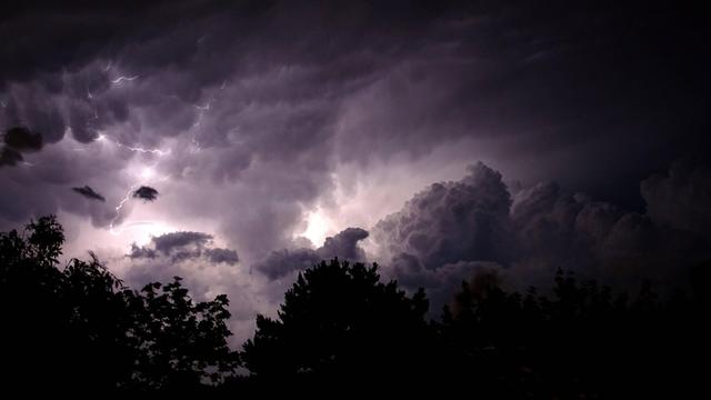 Blitze durchzucken einen Nachthimmel, der durch Bäume beobachtet wird.