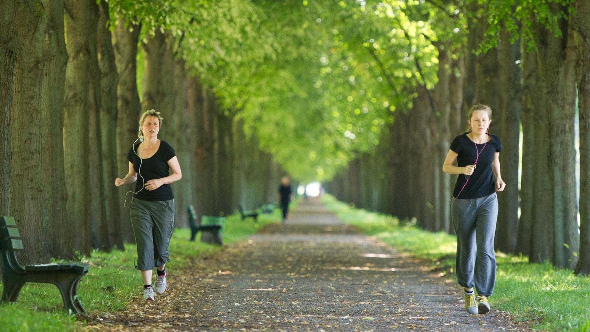 Zwei Frauen joggen am 06.08.2014 in Hannover (Niedersachsen) durch die Herrenhäuser Gärten. Foto: Ole Spata/dpa Zwei Frauen joggen am 06.08.2014 in Hannover (Niedersachsen) durch die Herrenhäuser Gärten. Foto: Ole Spata/dpa