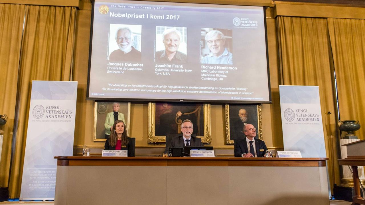 (171004) -- STOCKHOLM, Oct. 4, 2017 -- Goran K. Hansson (C), Secretary General of the Royal Swedish Academy of Sciences, announces the winners of the 2017 Nobel Prize in Chemistry in Stockholm, Sweden, on Oct. 4, 2017. Three scientists shared 2017 Nobel Prize in Chemistry, the Royal Swedish Academy of Sciences announced on Wednesday. The Nobel Prize in Chemistry 2017 was awarded to Jacques Dubochet, Joachim Frank and Richard Henderson for developing cryo-electron microscopy for the high-resolution structure determination of biomolecules in solution . ) (zcc) SWEDEN-STOCKHOLM-NOBEL PRIZE-CHEMISTRY ShixTiansheng PUBLICATIONxNOTxINxCHN (171004) -- STOCKHOLM, Oct. 4, 2017 -- Goran K. Hansson (C), Secretary General of the Royal Swedish Academy of Sciences, announces the winners of the 2017 Nobel Prize in Chemistry in Stockholm, Sweden, on Oct. 4, 2017. Three scientists shared 2017 Nobel Prize in Chemistry, the Royal Swedish Academy of Sciences announced on Wednesday. The Nobel Prize in Chemistry 2017 was awarded to Jacques Dubochet, Joachim Frank and Richard Henderson for developing cryo-electron microscopy for the high-resolution structure determination of biomolecules in solution . ) (zcc) SWEDEN-STOCKHOLM-NOBEL PRIZE-CHEMISTRY ShixTiansheng PUBLICATIONxNOTxINxCHN