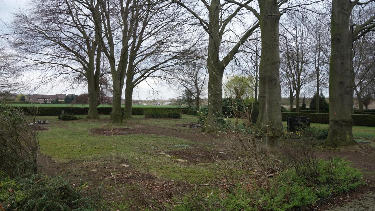 Auf dem alten Friedhof in Manheim sind die meisten Gräber leer. Auch sie sind mit umgezogen. Foto: Deutschlandradio / Alicia Lindhoff Auf dem alten Friedhof in Manheim sind die meisten Gräber leer. Auch sie sind mit umgezogen. Foto: Deutschlandradio / Alicia Lindhoff