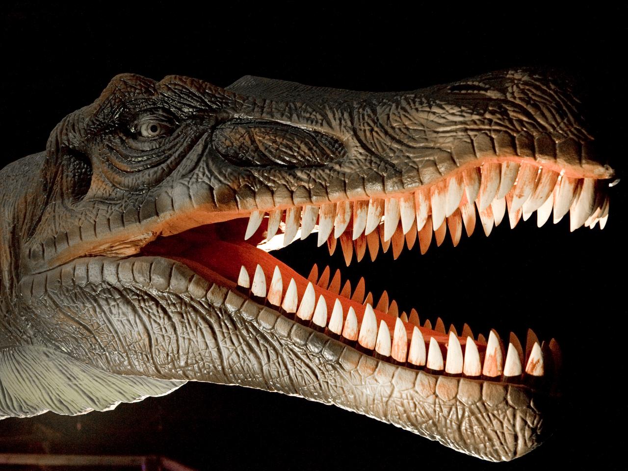 Modell eines Tyrannosaurus Rex
