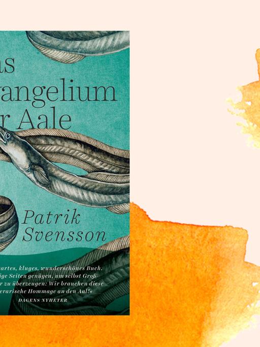 Cover des Buchs "Das Evangelium der Aale" von Patrik Svensson vor einem orangfarbenen Aquarellhintergrund.