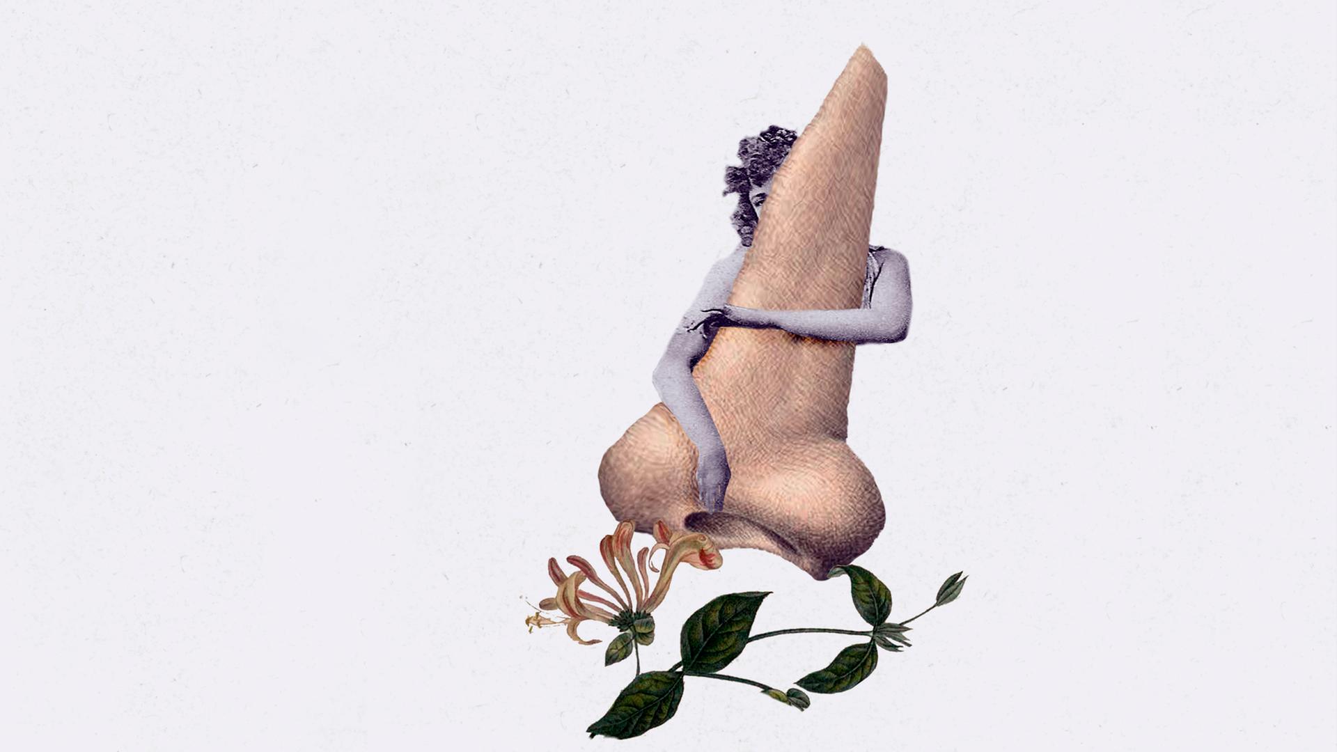 Collage, bestehend aus der Zeichunug einer Nase, die von hinten von einer Frau umarmt wird und einer botanischen Blumendarstellung. Collage, bestehend aus der Zeichunug einer Nase, die von hinten von einer Frau umarmt wird und einer botanischen Blumendarstellung.