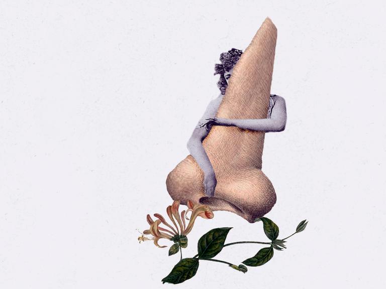 Collage, bestehend aus der Zeichunug einer Nase, die von hinten von einer Frau umarmt wird und einer botanischen Blumendarstellung.