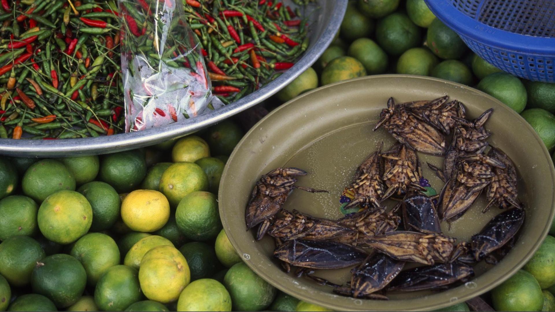 Chilli, Limetten und geröstete Insekten auf einem Markt in Patong, Phuket, Thailand, Südostasien, Asien | Verwendung weltweit, Keine Weitergabe an Wiederverkäufer. Chilli, Limetten und geröstete Insekten auf einem Markt in Patong, Phuket, Thailand, Südostasien, Asien | Verwendung weltweit, Keine Weitergabe an Wiederverkäufer.