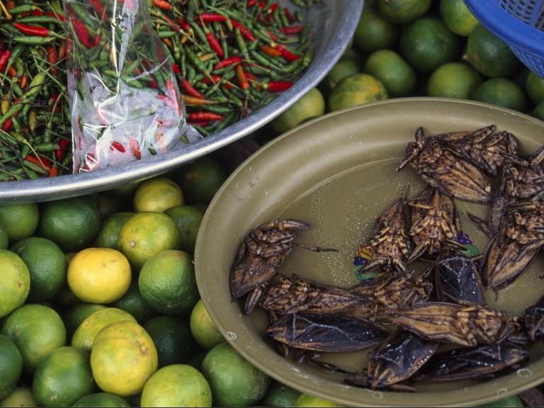 Chilli, Limetten und geröstete Insekten auf einem Markt in Patong, Phuket, Thailand, Südostasien, Asien | Verwendung weltweit, Keine Weitergabe an Wiederverkäufer.
