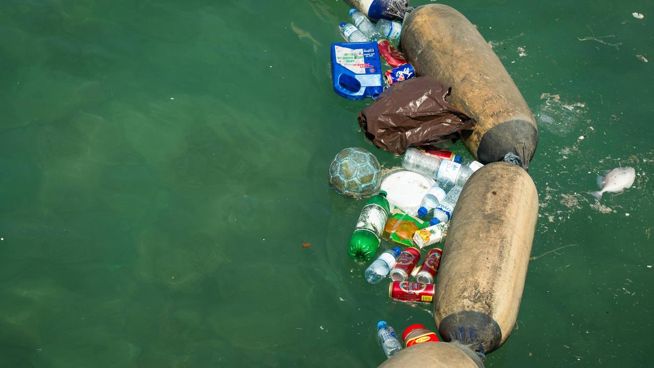 Müll und andere Dinge schwimmen zusammen mit einem Fisch im Meer kurz vor der Küste Abu Dhabis. Das Wasser sieht grün und dreckig aus. Ein kleiner Damm hindert den Müll zu passieren. Müll und andere Dinge schwimmen zusammen mit einem Fisch im Meer kurz vor der Küste Abu Dhabis. Das Wasser sieht grün und dreckig aus. Ein kleiner Damm hindert den Müll zu passieren.