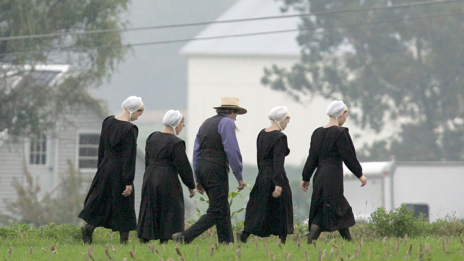 Mitglieder einer Amish-Gemeinde gehen am 4.10.2006 über eine Wiese in Nickel Mines, Pennsylvania. Mitglieder einer Amish-Gemeinde gehen am 4.10.2006 über eine Wiese in Nickel Mines, Pennsylvania.