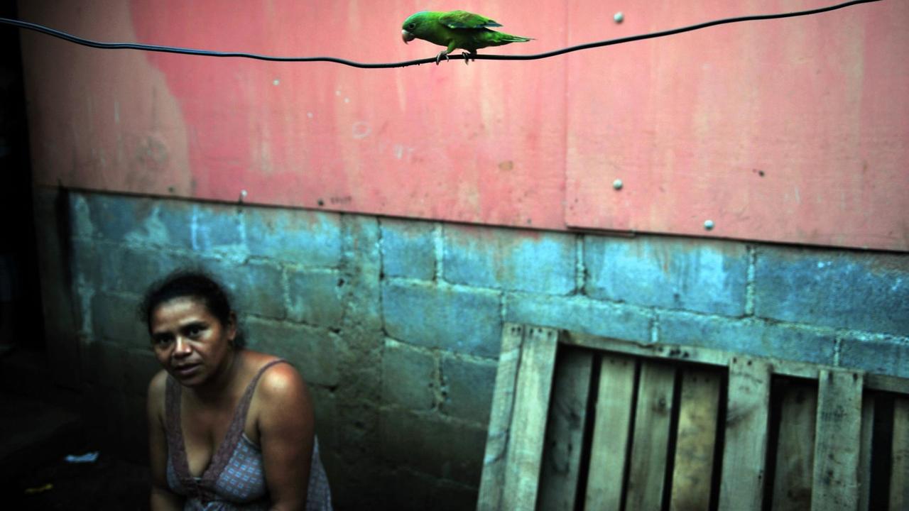 Viele Menschen in Nicaragua leben unter der Armutsgrenze. Viele Menschen in Nicaragua leben unter der Armutsgrenze.