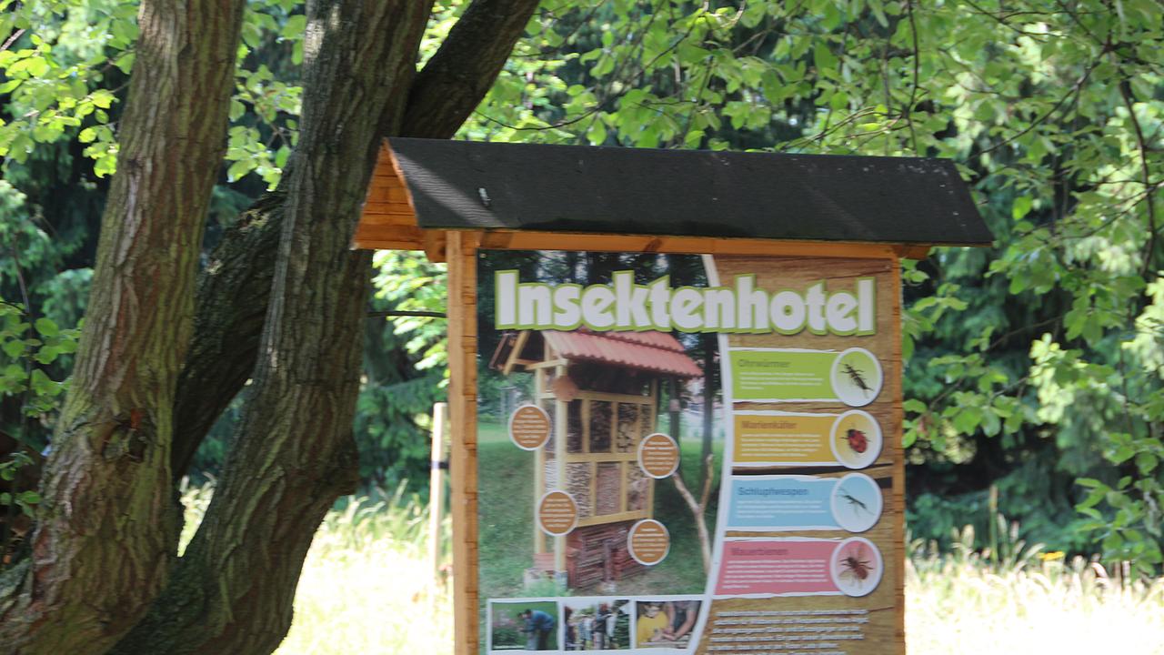 Mal was Neues: das Insektenhotel in Kirchheilingen. Mal was Neues: das Insektenhotel in Kirchheilingen.
