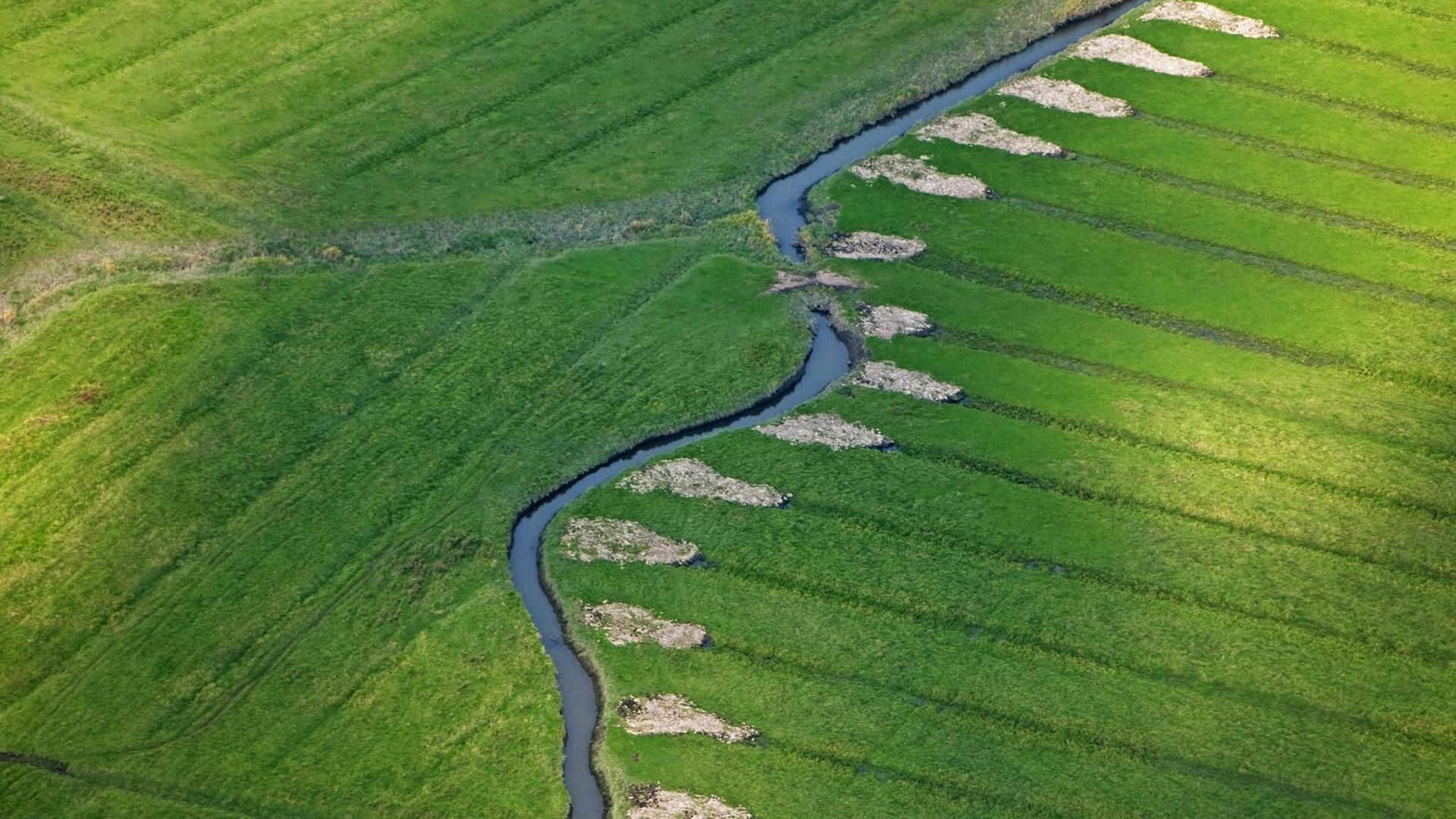 Luftbild von Entwässerungsgräben im Naturschutzgebiet Haseldorfer Marsch Luftbild von Entwässerungsgräben im Naturschutzgebiet Haseldorfer Marsch