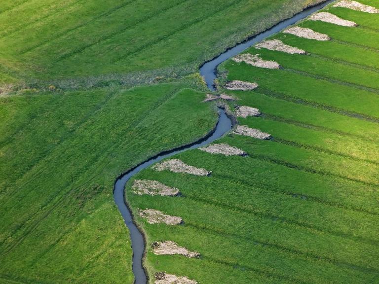 Luftbild von Entwässerungsgräben im Naturschutzgebiet Haseldorfer Marsch