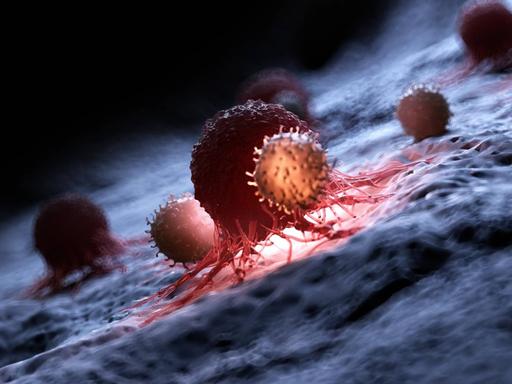 Grafische Darstellung wie weiße Blutzellen Krebszellen attackieren.