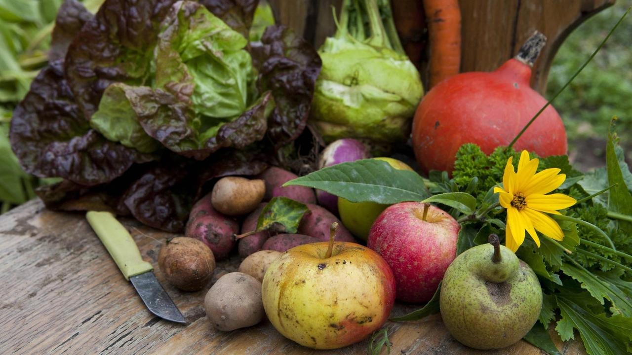 Obst- und Gemüseangebot von der Solidarischen Landwirtschaft SpeiseGut in Berlin. Obst- und Gemüseangebot von der Solidarischen Landwirtschaft SpeiseGut in Berlin.