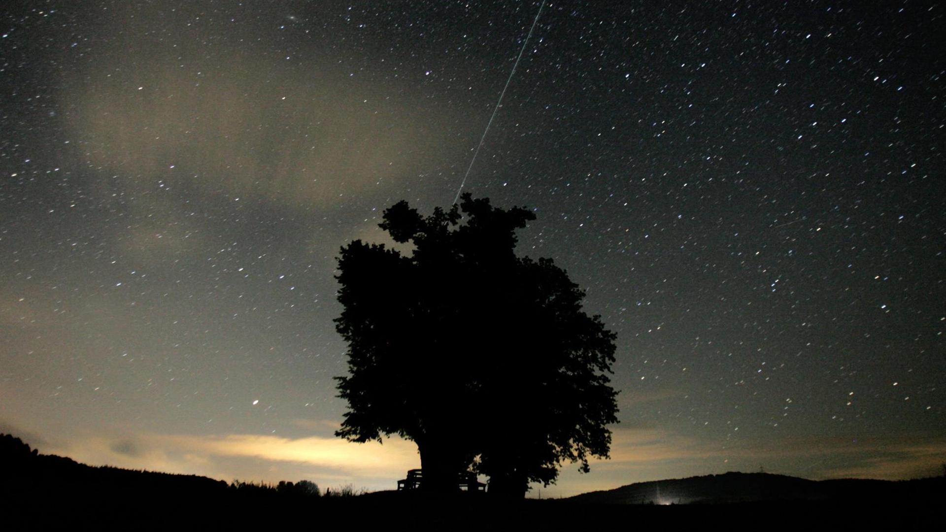 Eine Sternschnuppe ist am Sternenhimmel über einem Baum zu sehen. Eine Sternschnuppe ist am Sternenhimmel über einem Baum zu sehen.
