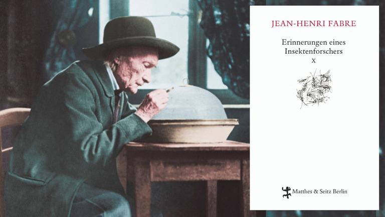 Jean-Henri Fabre: "Erinnerungen eines Insektenforschers" Zu sehen sind Jean-Henri Fabre bei der Insektenbeobachtung an seinem Schreibtisch und das Buchcover Jean-Henri Fabre: "Erinnerungen eines Insektenforschers" Zu sehen sind Jean-Henri Fabre bei der Insektenbeobachtung an seinem Schreibtisch und das Buchcover
