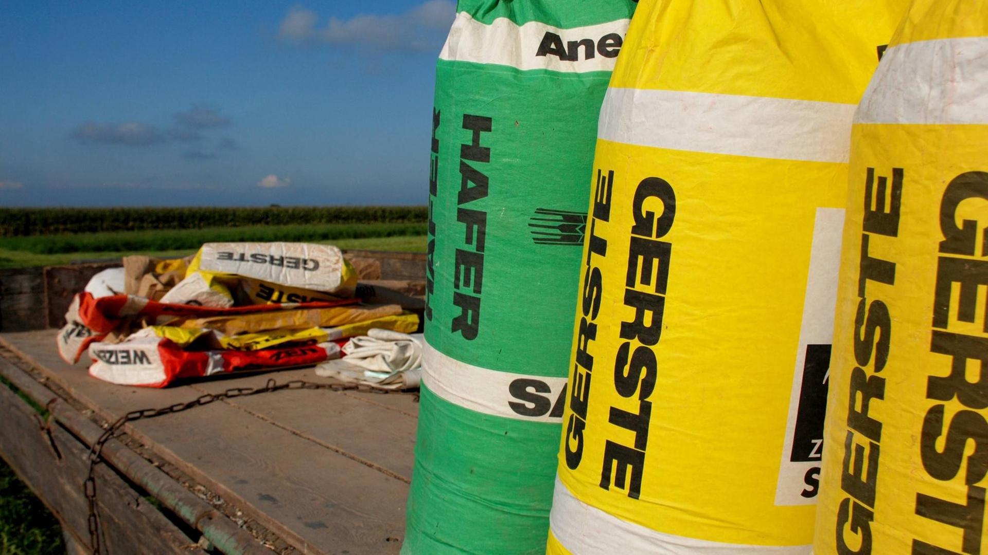 Säcke mit der Aufschrift Gerste und Hafer stehen auf einem Anhänger auf einem Feld. Säcke mit der Aufschrift Gerste und Hafer stehen auf einem Anhänger auf einem Feld.