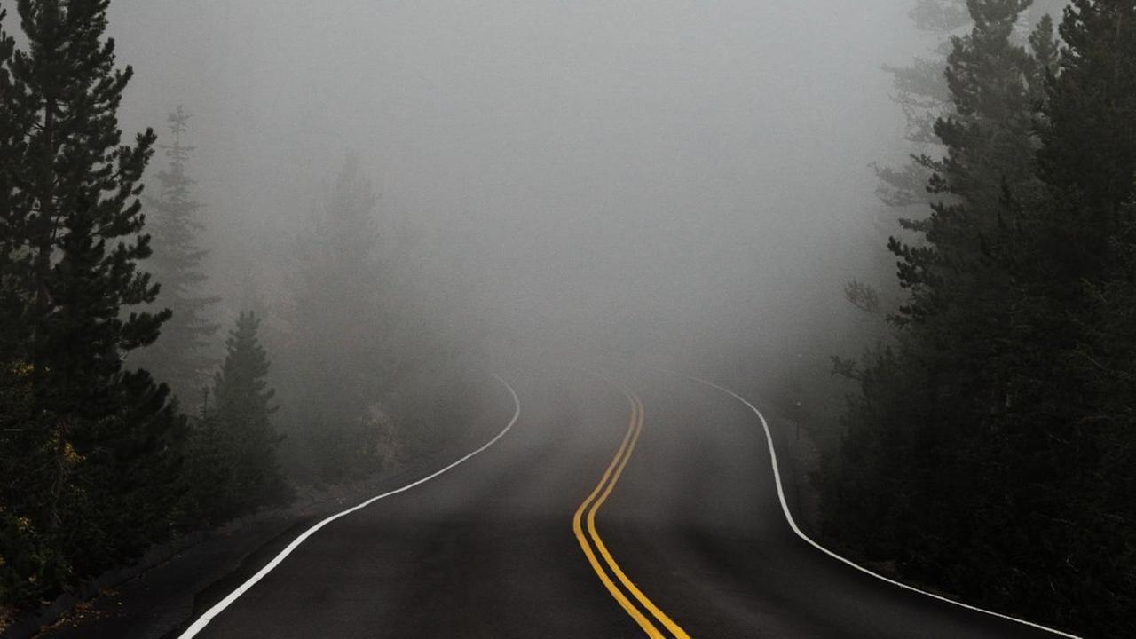 Eine kurvige Straße verschwindet im Nebel, rechts und links stehen Nadelbäume.