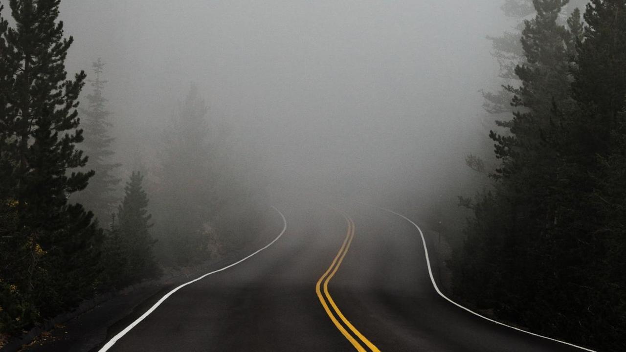 Eine kurvige Straße verschwindet im Nebel, rechts und links stehen Nadelbäume. Eine kurvige Straße verschwindet im Nebel, rechts und links stehen Nadelbäume.