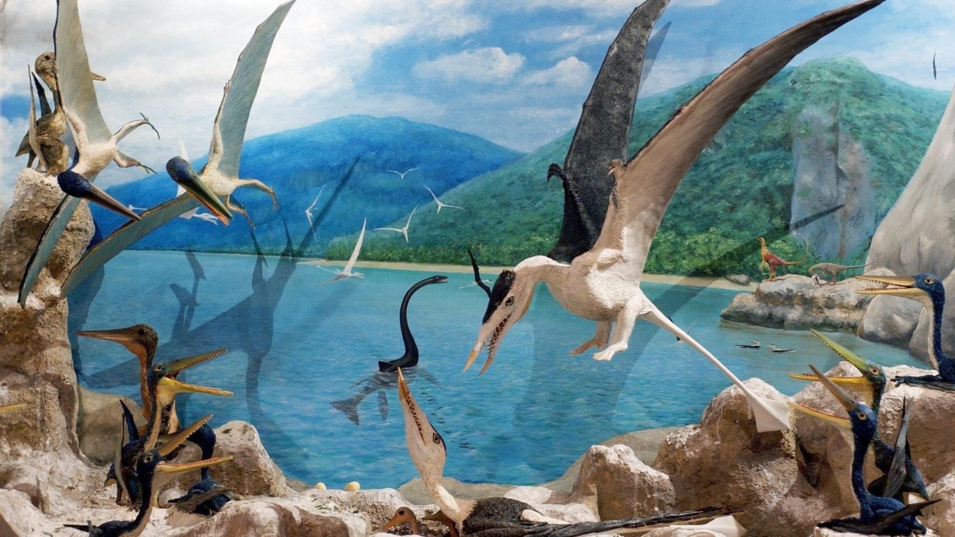 Eine fast realistische Darstellung des Lebensraumes der Flugsaurier (Pterodactylus) vor etwa 140 Millionen Jahren zeigt ein Modell im Naturkundemuseum in Leipzig. Eine fast realistische Darstellung des Lebensraumes der Flugsaurier (Pterodactylus) vor etwa 140 Millionen Jahren zeigt ein Modell im Naturkundemuseum in Leipzig.