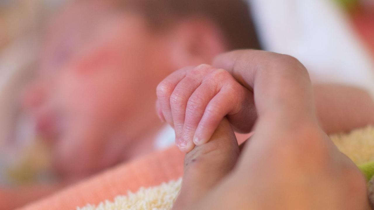 Eine Mutter hält am 07.01.2014 in einem Krankenzimmer der Kinderintensivstation im Klinikum Braunschweig (Niedersachsen) die Hand ihres im Inkubatoren liegenden Sohns. Die Kinderintensivstation gibt es mittlerweile seit 35 Jahren. Sie ist damit eine der ältesten Intensivstationen für Frühgeborene und Kinder an einer kommunalen Klinik in Niedersachsen. Eine Mutter hält am 07.01.2014 in einem Krankenzimmer der Kinderintensivstation im Klinikum Braunschweig (Niedersachsen) die Hand ihres im Inkubatoren liegenden Sohns. Die Kinderintensivstation gibt es mittlerweile seit 35 Jahren. Sie ist damit eine der ältesten Intensivstationen für Frühgeborene und Kinder an einer kommunalen Klinik in Niedersachsen.