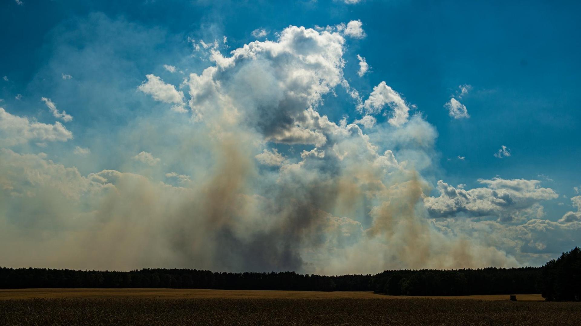 Brandwolken über dem Wald über Lübtheen. Brandwolken über dem Wald über Lübtheen.