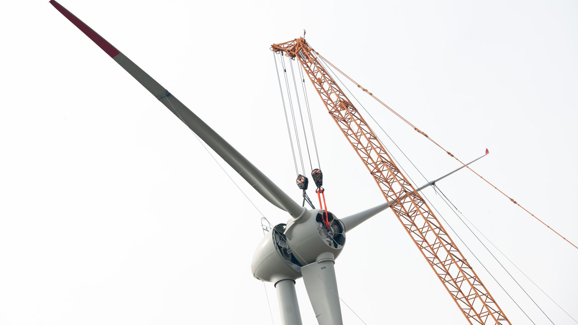 Der Propeller eines Windrades wird am 31.03.2014 nahe Visselhövede (Niedersachsen) montiert. Der Propeller eines Windrades wird am 31.03.2014 nahe Visselhövede (Niedersachsen) montiert.