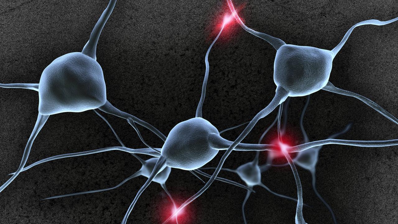 Nervenzellen, Neuronen und Synapsen im Gehirn Nervenzellen, Neuronen und Synapsen im Gehirn