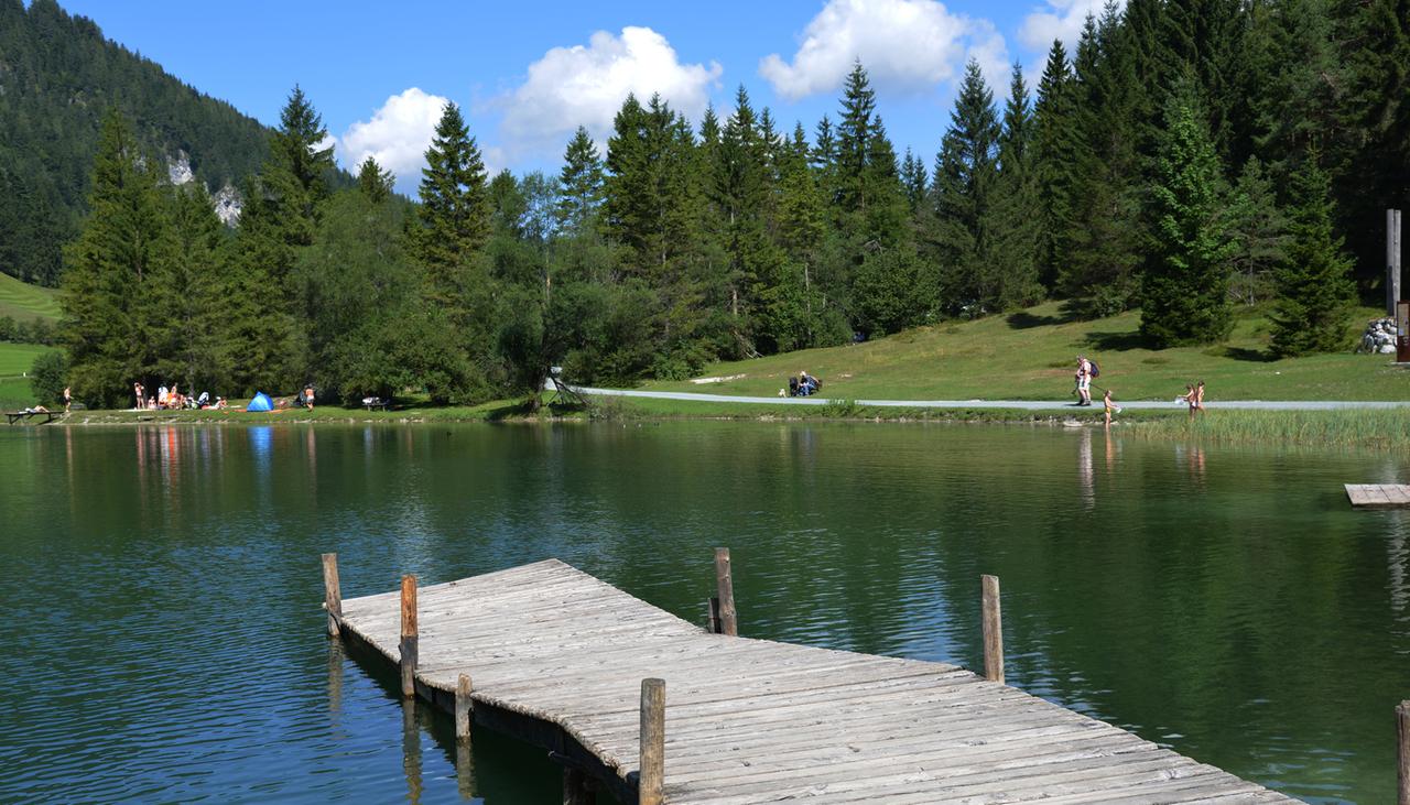 Das Saalachtal im Salzburger Land bietet den Urlaubern und Feriengästen grüne Wiesen, Kalkalpen und Wasser für viel Bewegung an frischer Luft zum Bergwandern, Radfahren und Wildwasserfahren und mehr in wunderschöner Landschaft. Das Saalachtal im Salzburger Land bietet den Urlaubern und Feriengästen grüne Wiesen, Kalkalpen und Wasser für viel Bewegung an frischer Luft zum Bergwandern, Radfahren und Wildwasserfahren und mehr in wunderschöner Landschaft.