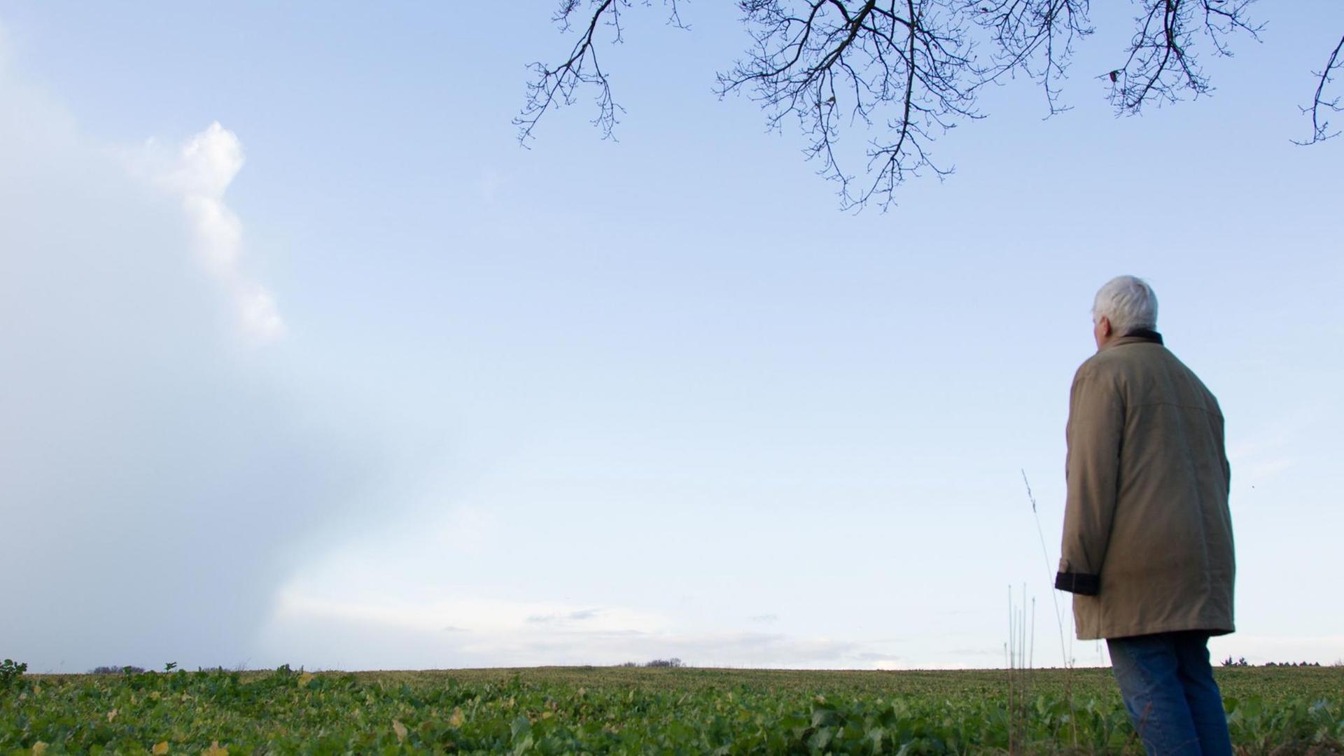 Die Einsiedlerin Maria Anna Leenen blickt in Bippen bei Fürstenau auf ein Feld. Die Einsiedlerin Maria Anna Leenen blickt in Bippen bei Fürstenau auf ein Feld.