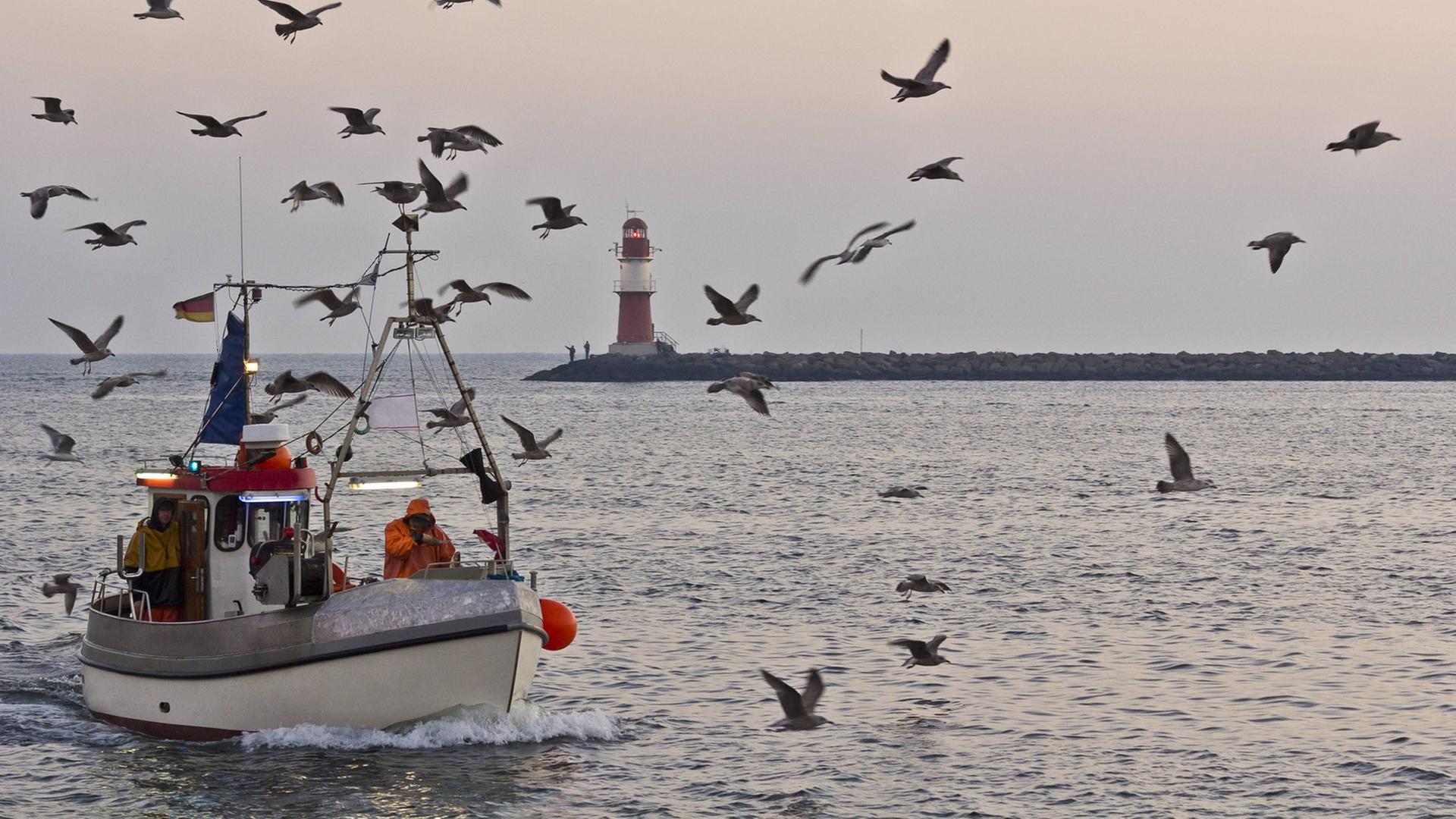Fischerboot vor Warnemünde, Mecklenburg-Vorpommern Fischerboot vor Warnemünde, Mecklenburg-Vorpommern