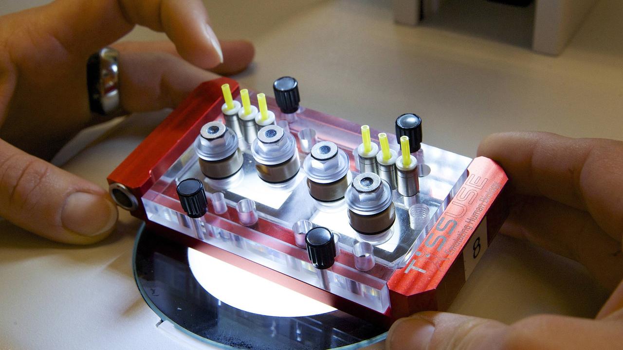 Ein Multi-Organ-Chip – etwa smartphonegroß mit Zylindern, die Gewebe enthalten Ein Multi-Organ-Chip – etwa smartphonegroß mit Zylindern, die Gewebe enthalten