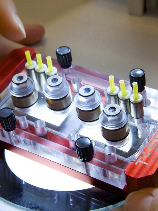 Ein Multi-Organ-Chip - etwa smartphonegroß mit Zylindern, die Gewebe enthalten