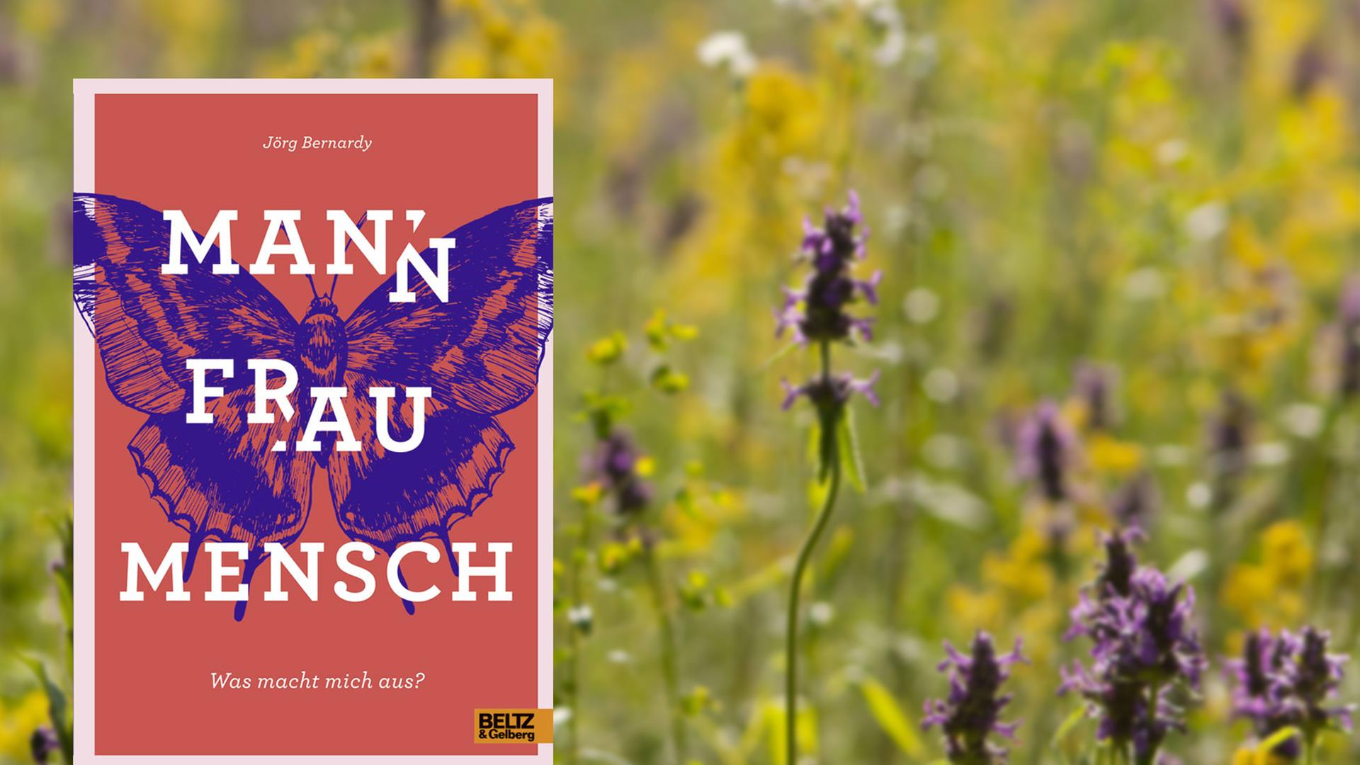 Auf dem Buchcover ist ein blauer Schmetterling auf rosa Grund zu sehen. Auf dem Buchcover ist ein blauer Schmetterling auf rosa Grund zu sehen.