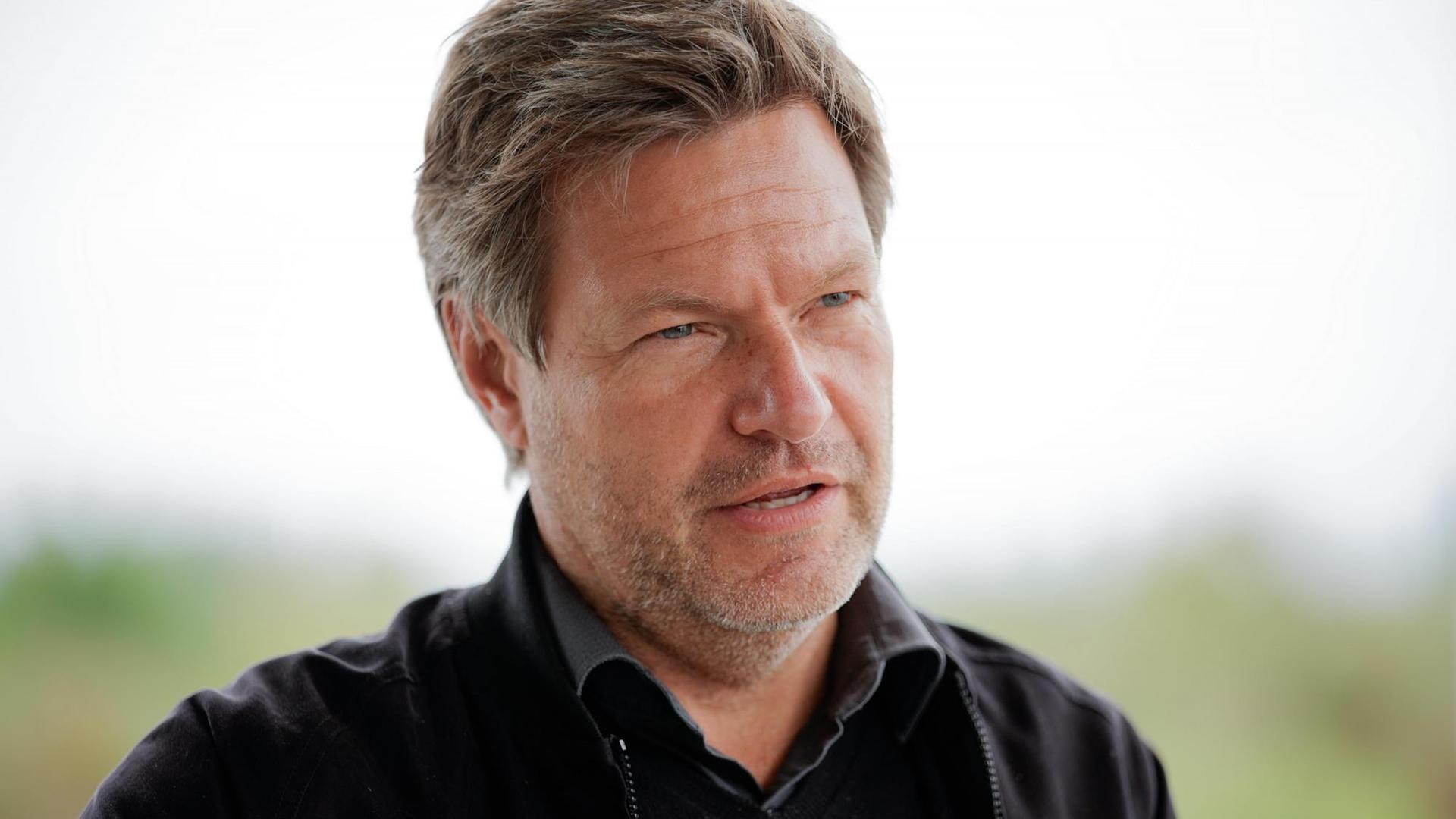 Der Bundesvorsitzende von Bündnis 90/Die Grünen, Robert Habeck Der Bundesvorsitzende von Bündnis 90/Die Grünen, Robert Habeck