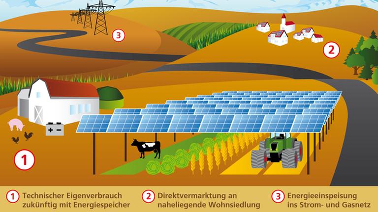 Illustration einer Landschaft mit Bauernhof, Schwein und Hühnern. Daneben eine APV-Anlage - Solarpanel auf Stelzen - darunter Gemüse, ein Traktor und Kühe. Im Hintergrund eine Strasse, Strommasten, ein Dorf. Am Horizont die Berge.