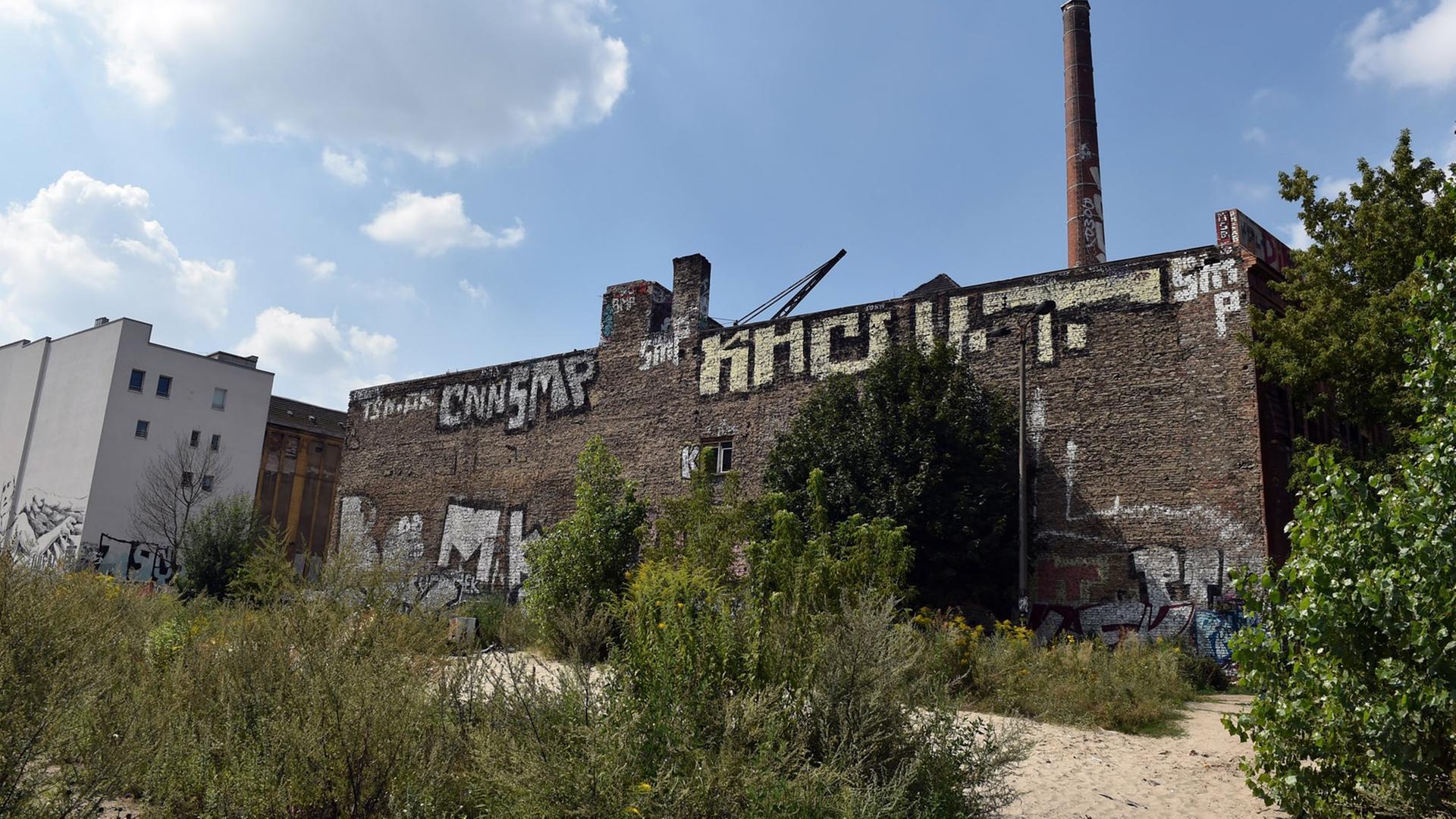 Spreeufer - Ruine alte Eisfabrik, 2014 Spreeufer - Ruine alte Eisfabrik, 2014