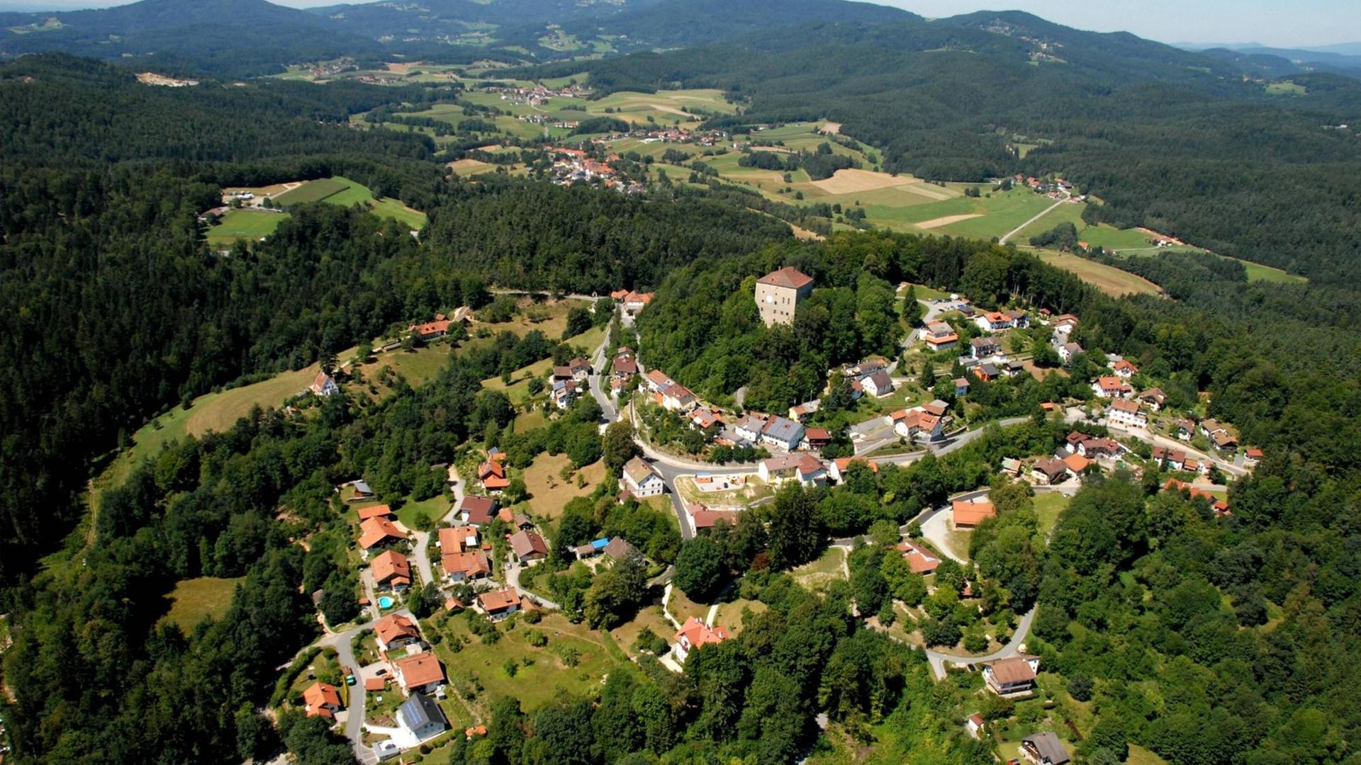 Luftbild der kleinen Gemeinde Saldenburg im Bayerischen Wald. Rings um den Ort liegen grüne Wiesen und Wälder.