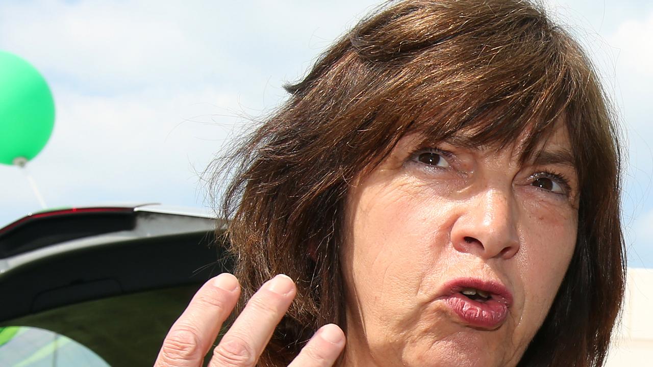 Rebecca Harms, Spitzenkandidatin der Grünen bei der Europawahl Rebecca Harms, Spitzenkandidatin der Grünen bei der Europawahl