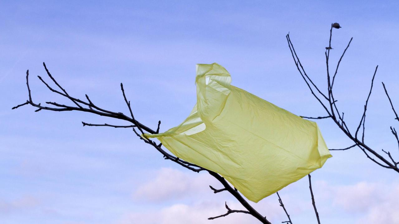 Eine gelbe Plastiktüte hängt in den blätterlosen Ästen eines Baums. Eine gelbe Plastiktüte hängt in den blätterlosen Ästen eines Baums.