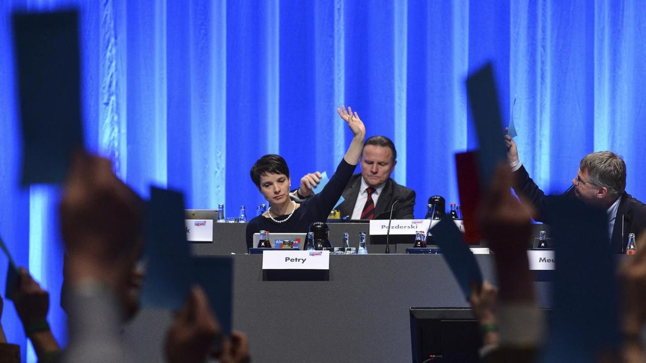 Sie sehen viele Arme, die Zettel hochhalten, und im Hintergrund AfD-Chefin Petry. Sie sehen viele Arme, die Zettel hochhalten, und im Hintergrund AfD-Chefin Petry.