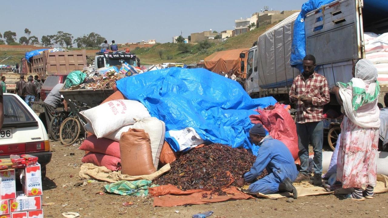 Ein Verkäufer bietet Chilli auf einer Plastikplane an auf dem neuen Marktplatz von Asmara. Vor der Grenzöffnung eine leere Wiese.